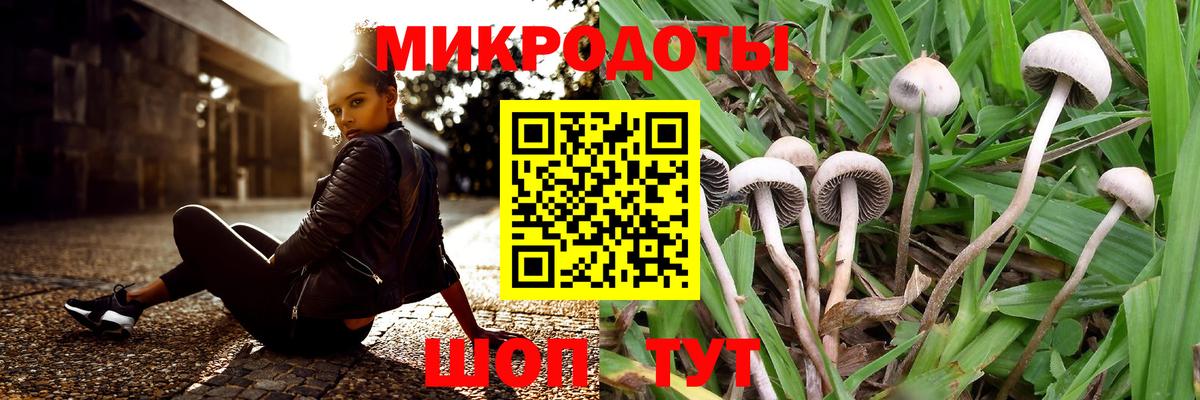 Галлюциногенные грибы GOLDEN TEACHER  Вход с VPN  Кириши 